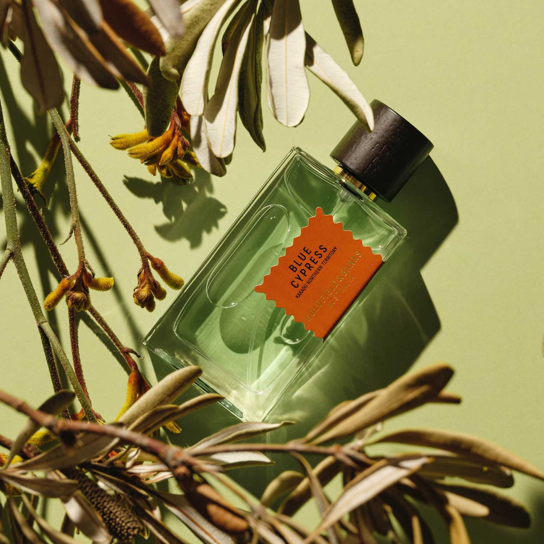 Blue Cypress Goldfield & Banks Parfum - Image 4