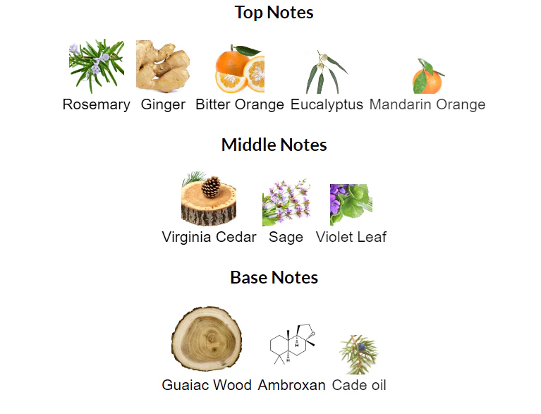 Bois Blanc Frapin & Cie Eau De Parfum Sample - Image 3