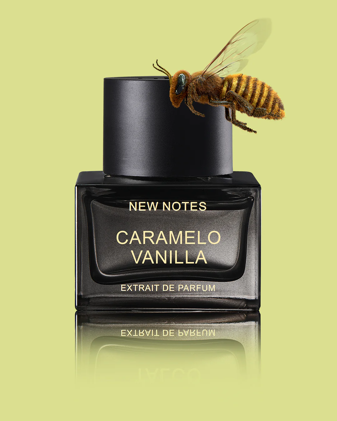 Caramello Vanilla New Notes Extrait De Parfum - Image 7