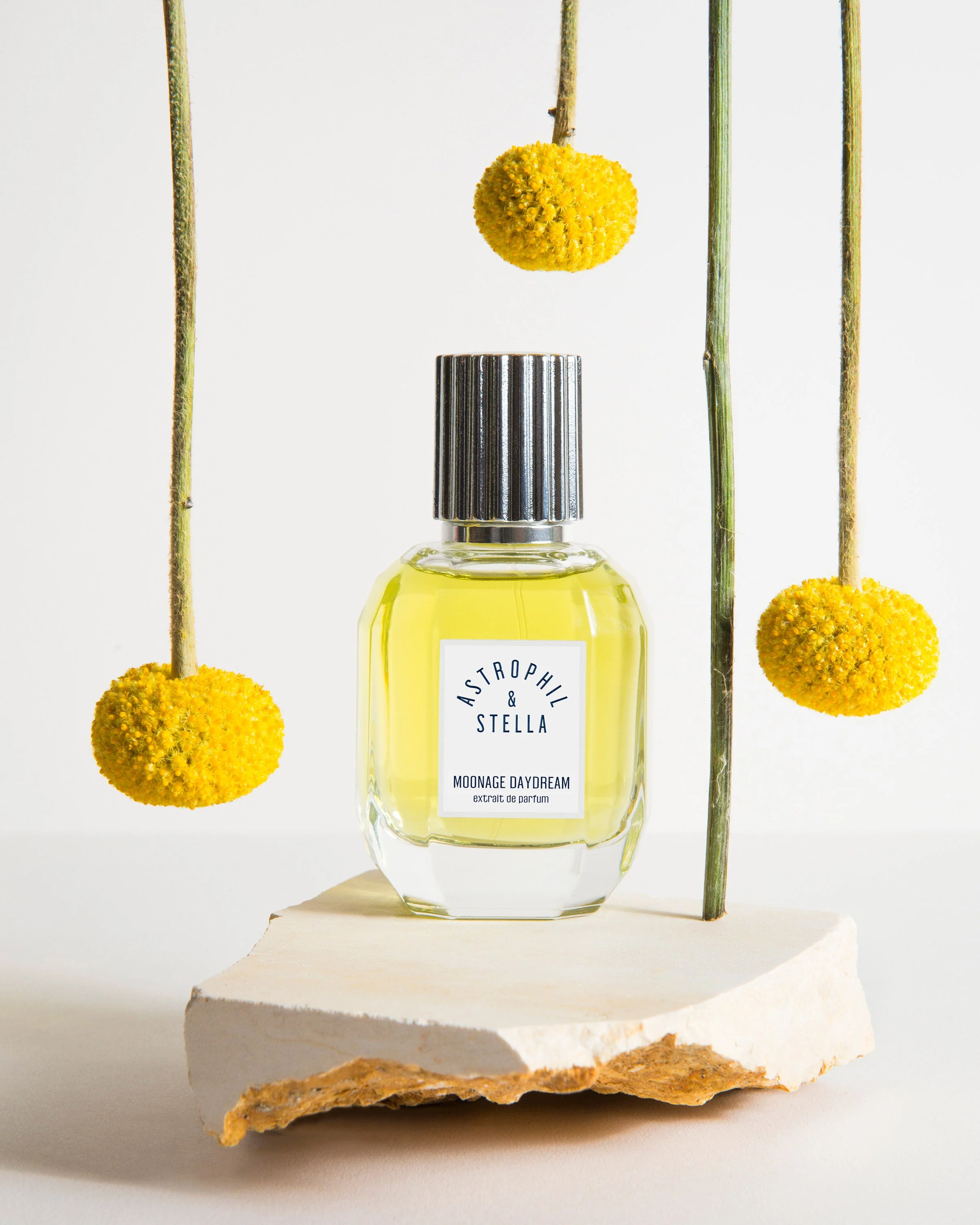 Moonage Daydream Astrophil & Stella Extrait de Parfum Sample2ml - Image 3