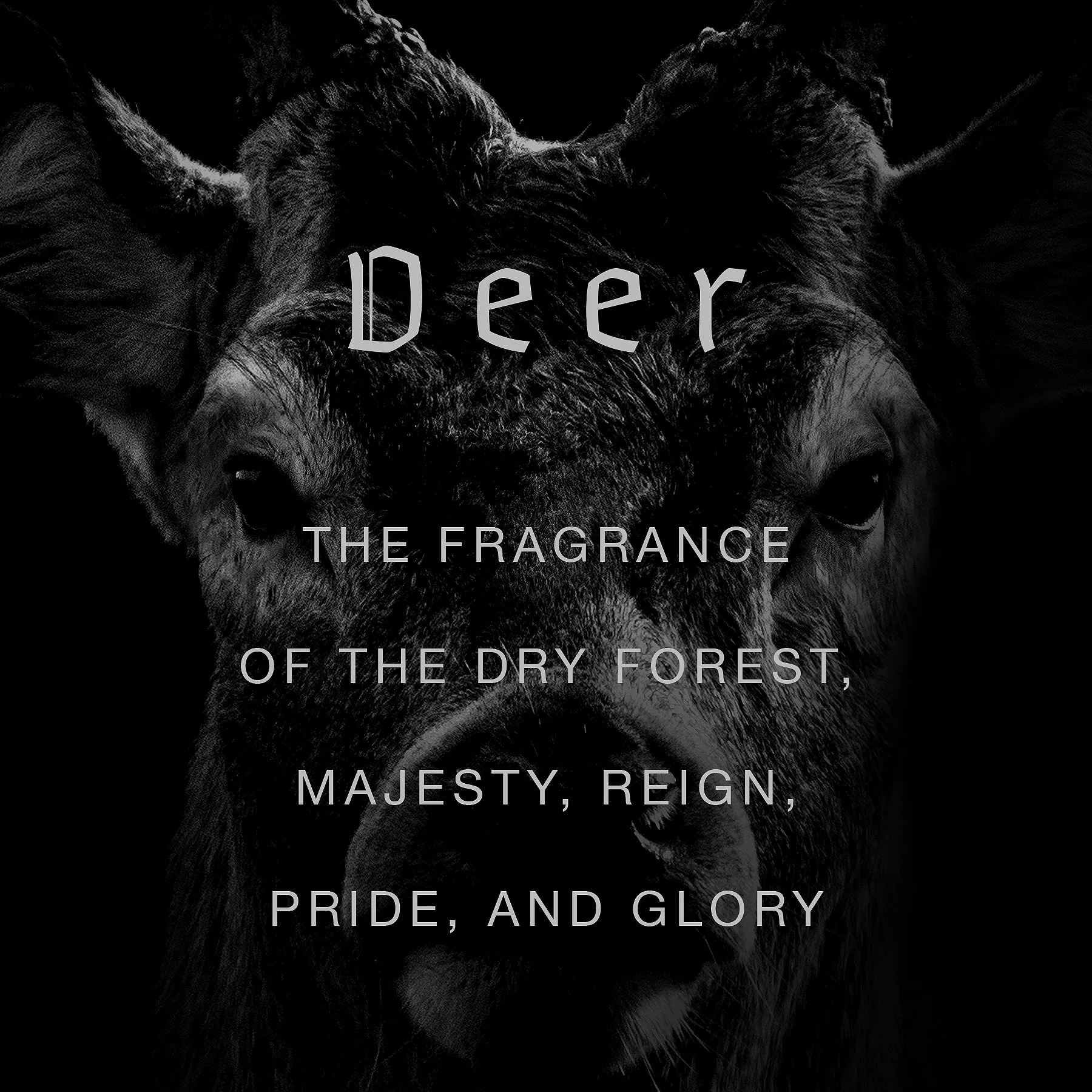 Deer Wild Slavic Fragrance - Eau de Parfum 50ml - Image 3
