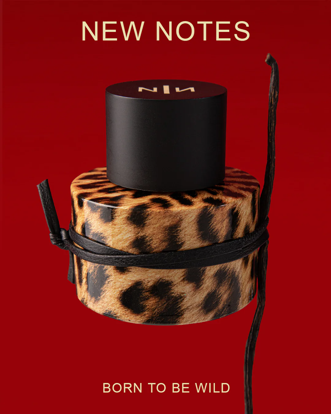 Felina New Notes Extrait De Parfum 60ml - Image 3