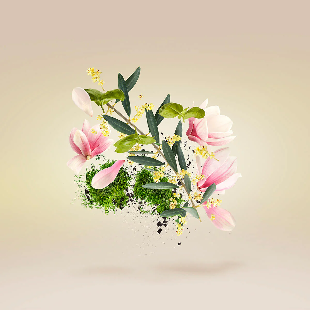 Fiore d'Ulivo EDP Casamorati Xerjoff - Image 4