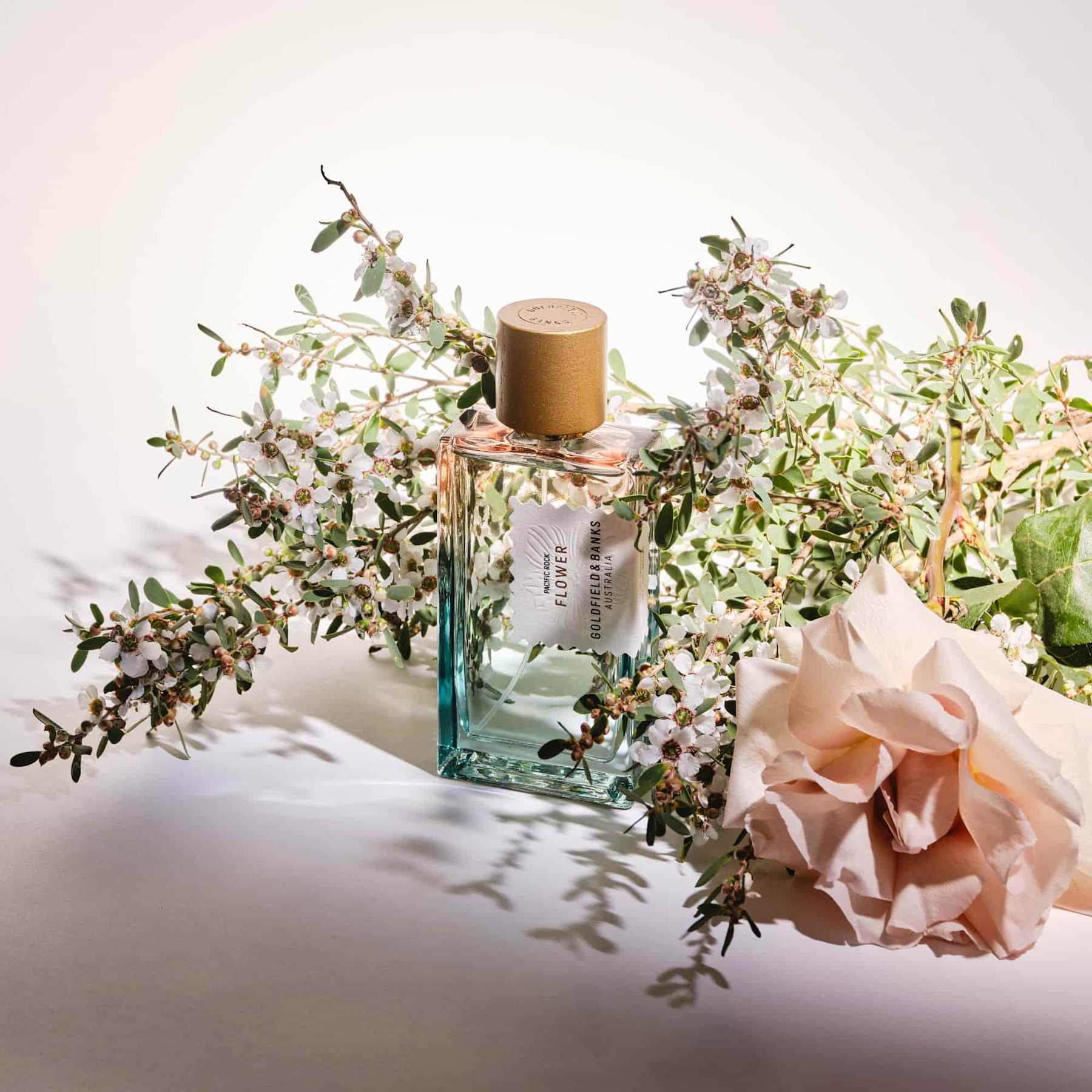 Pacific Rock Flower Goldfield & Banks Parfum - Image 7