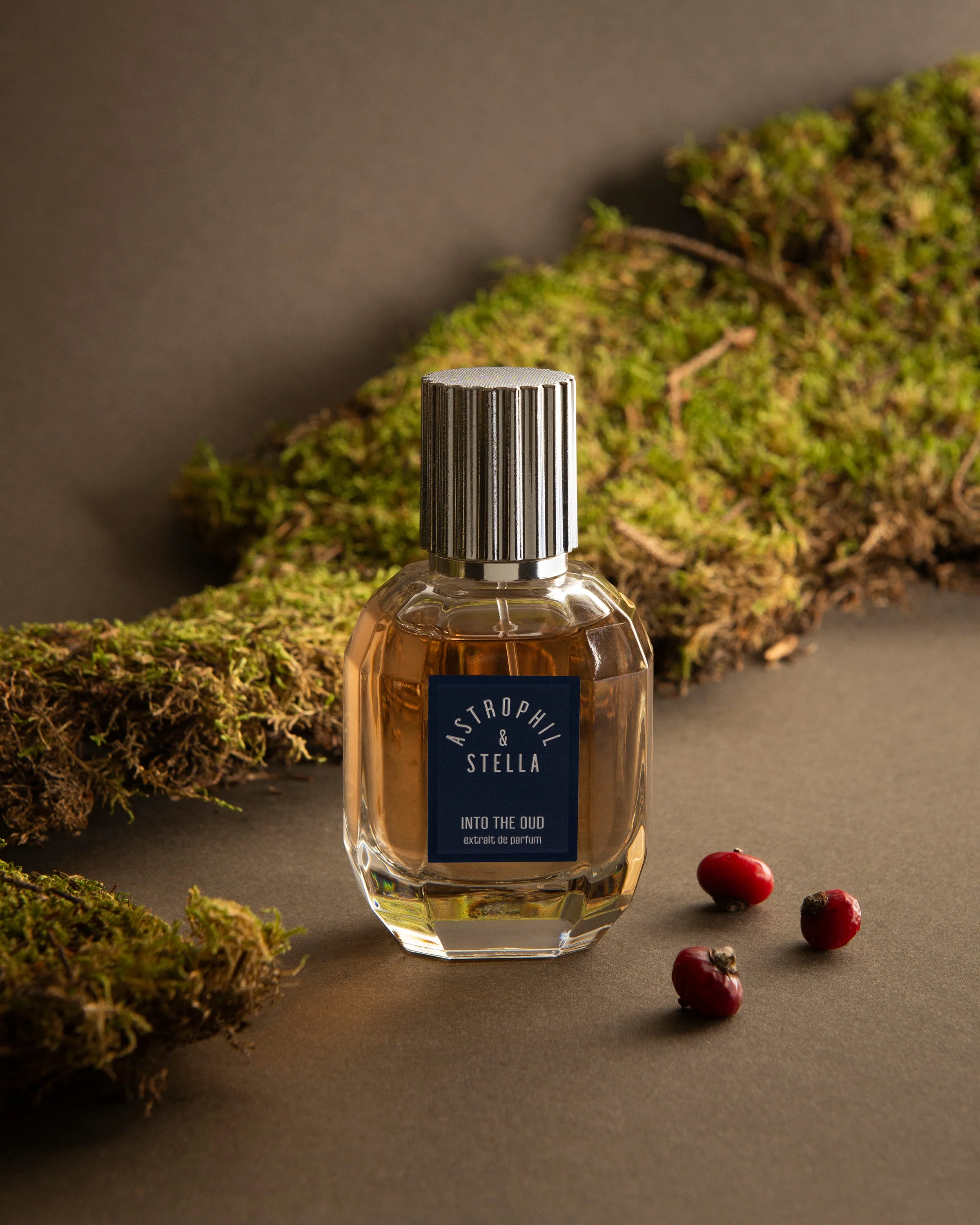 Into The Oud Astrophil & Stella Extrait de Parfum Sample 2ml - Image 6
