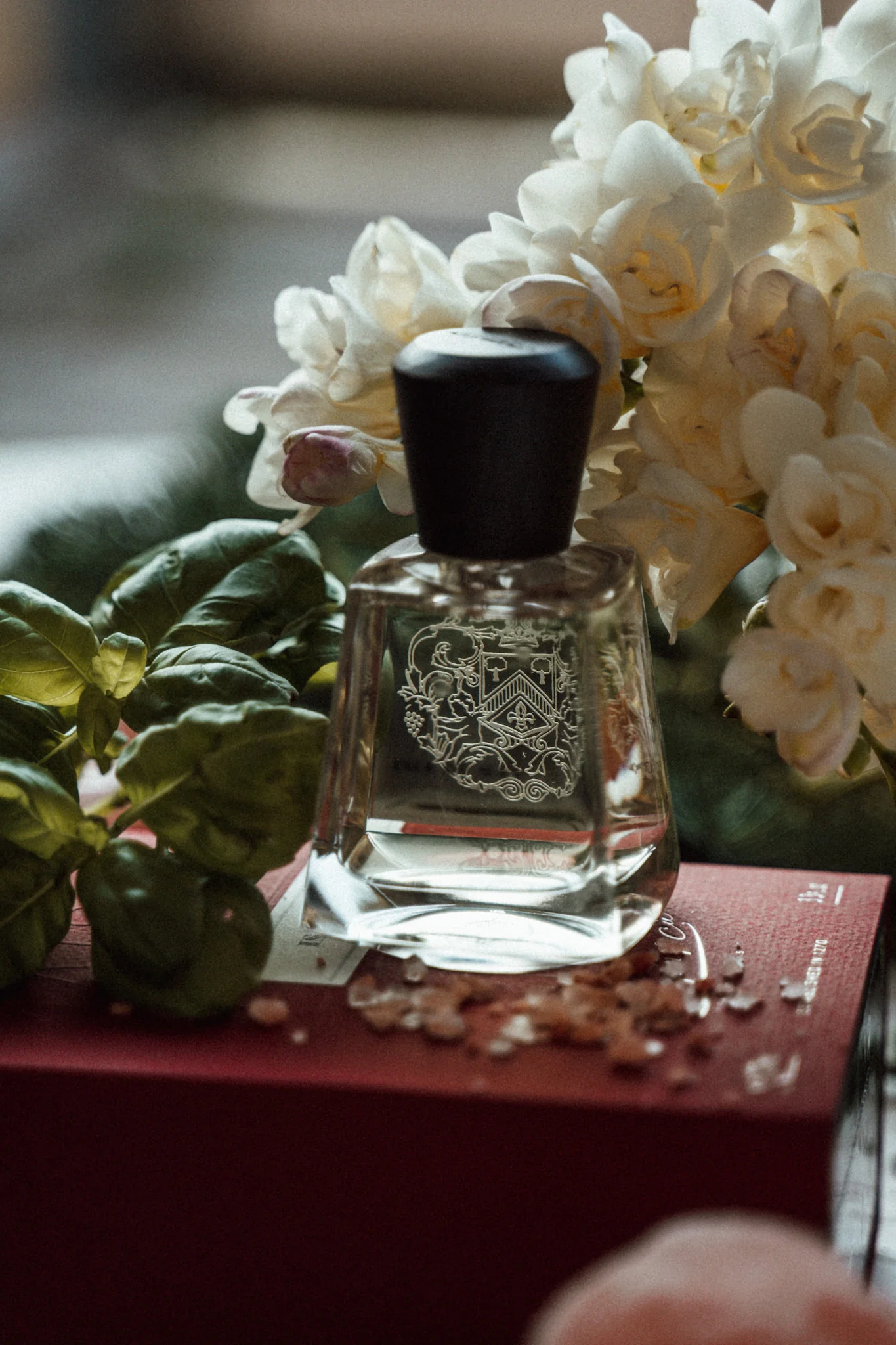 Isle Of Man Frapin & Cie Eau de Parfum 100ml - Image 5