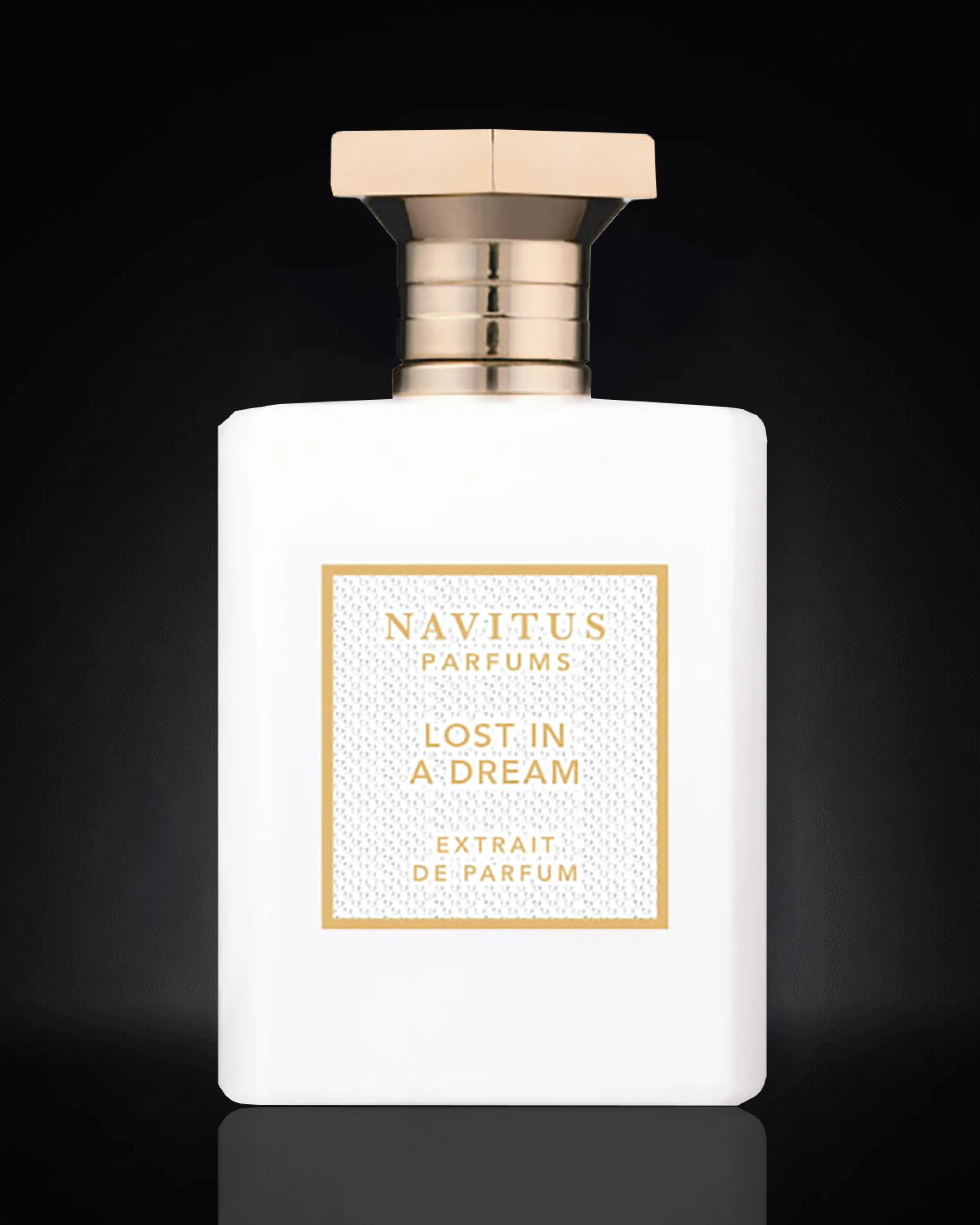 Lost In A Dream Navitus Extrait De Parfum Sample - Image 5