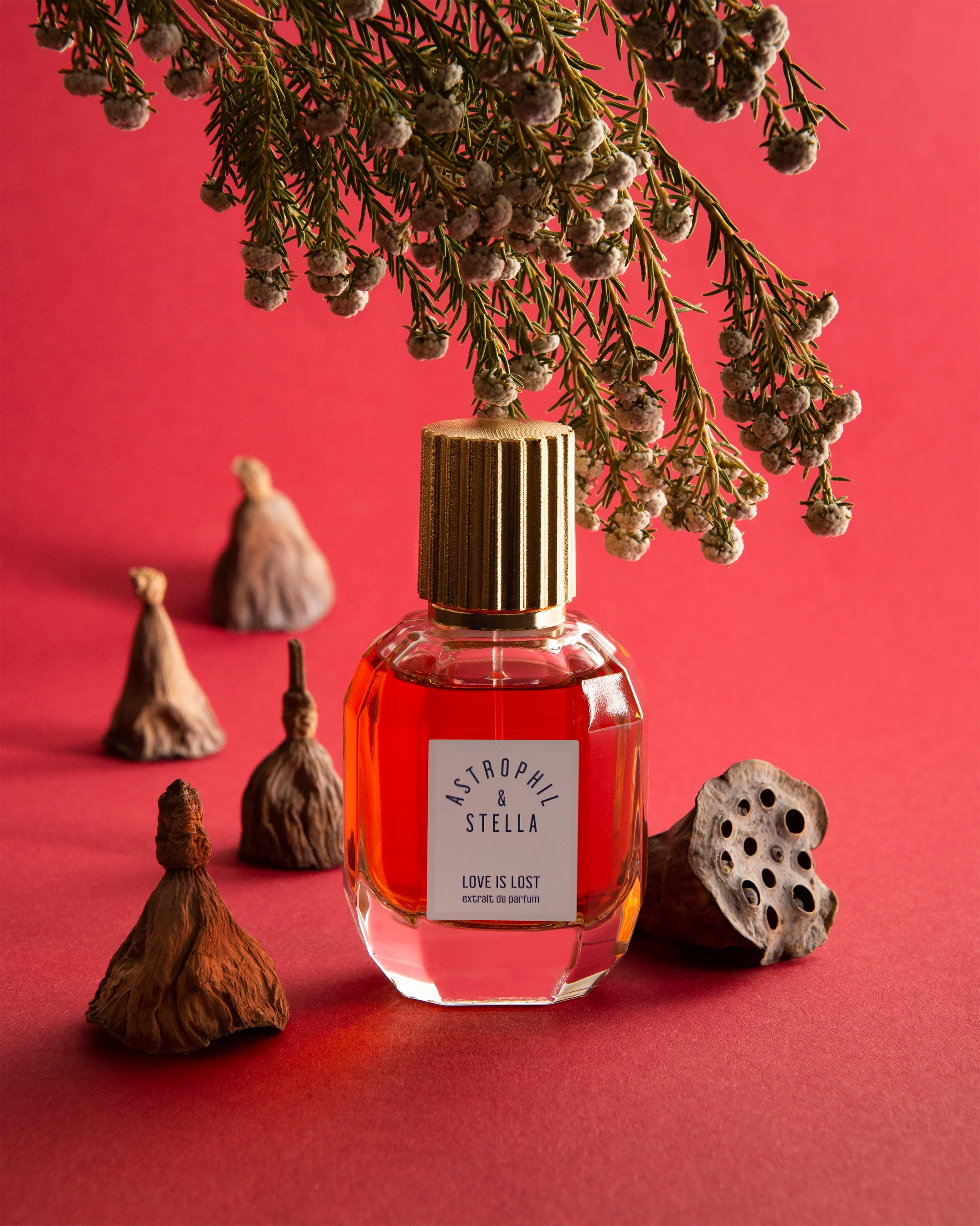 Love Is Lost Astrophil & Stella Extrait de Parfum 50ml - Image 6