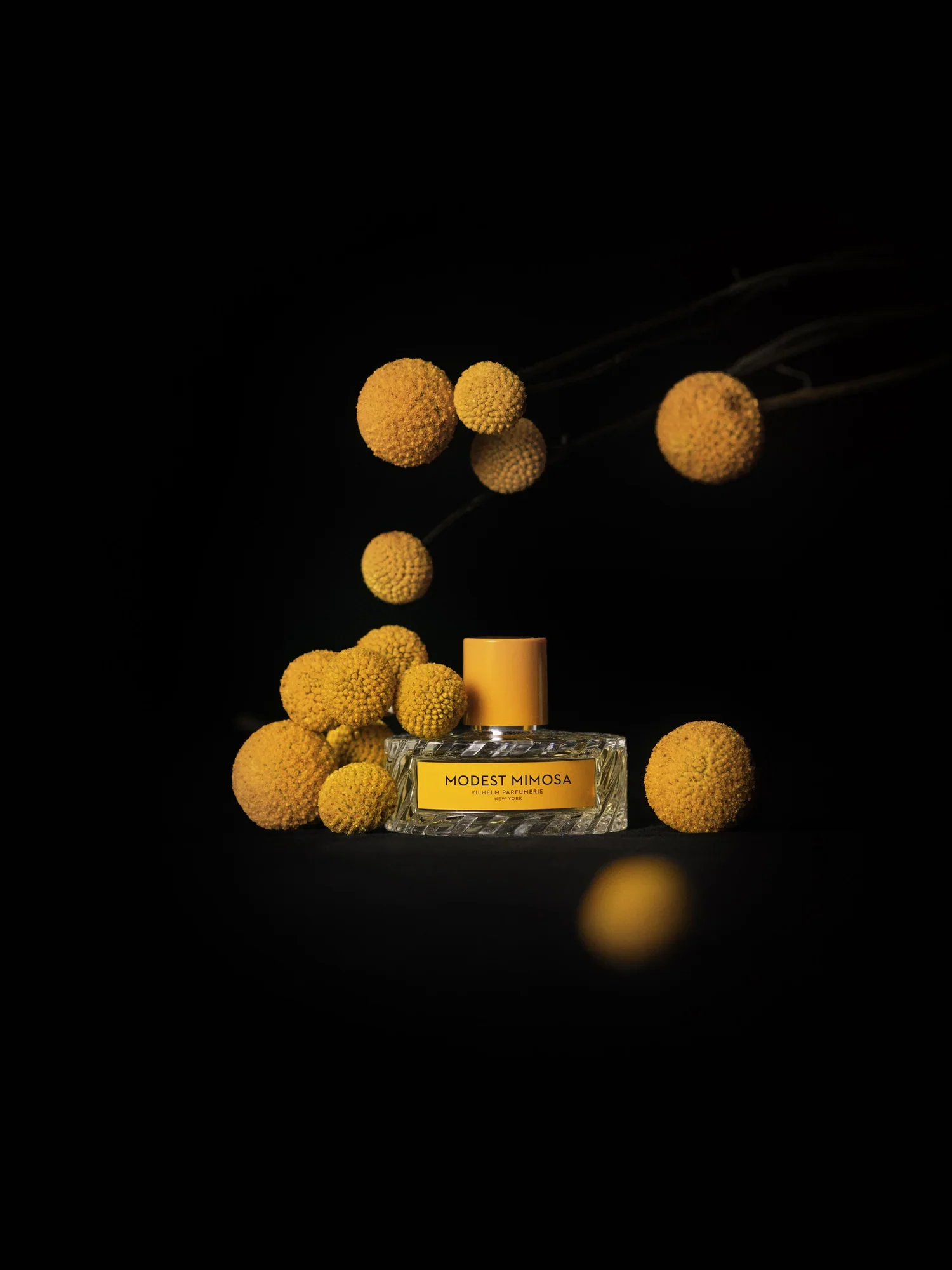 Modest Mimosa Vilhelm Parfumerie Eau de Parfum - Image 4