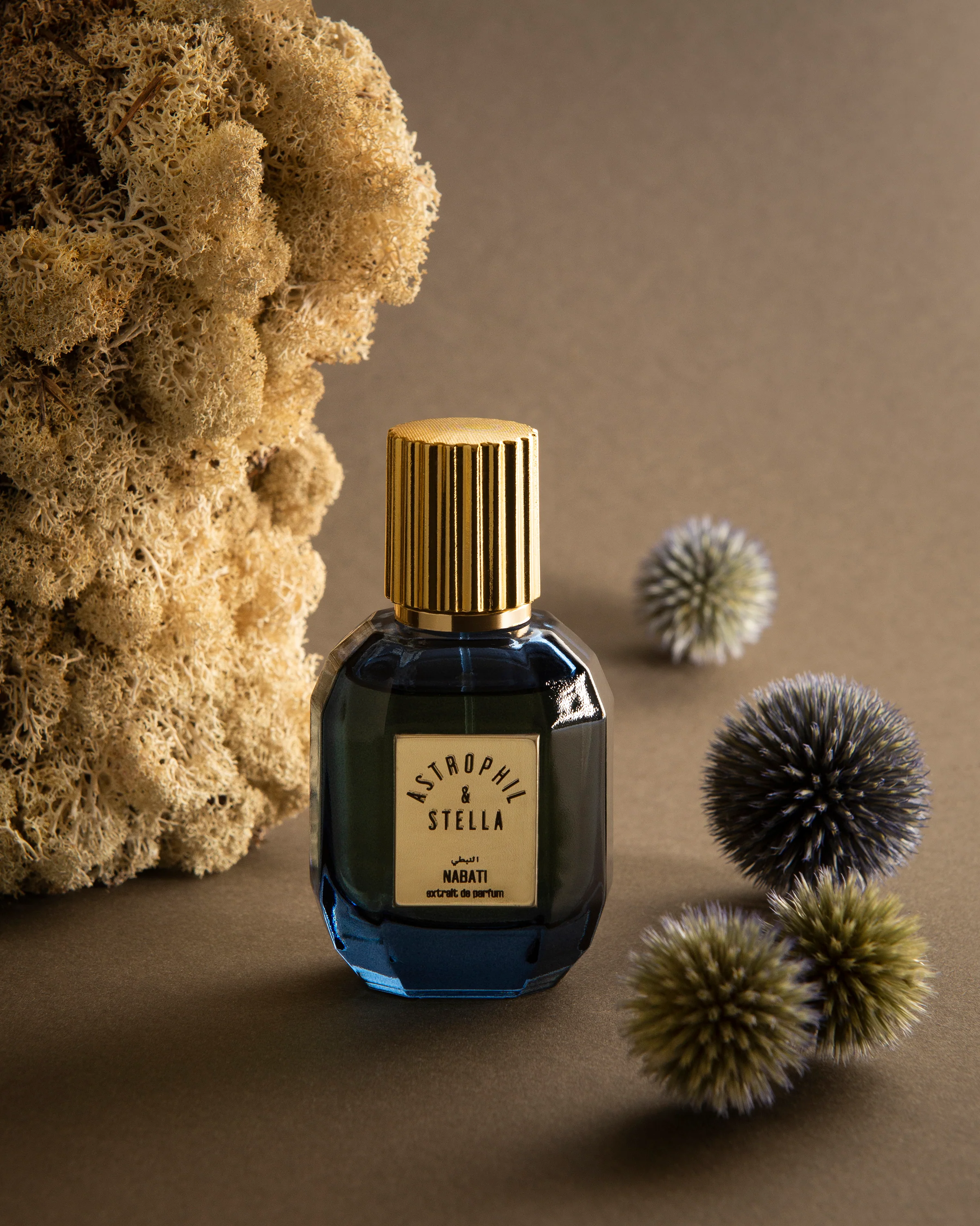 Nabati Astrophil & Stella Extrait de Parfum 50ml - Image 3