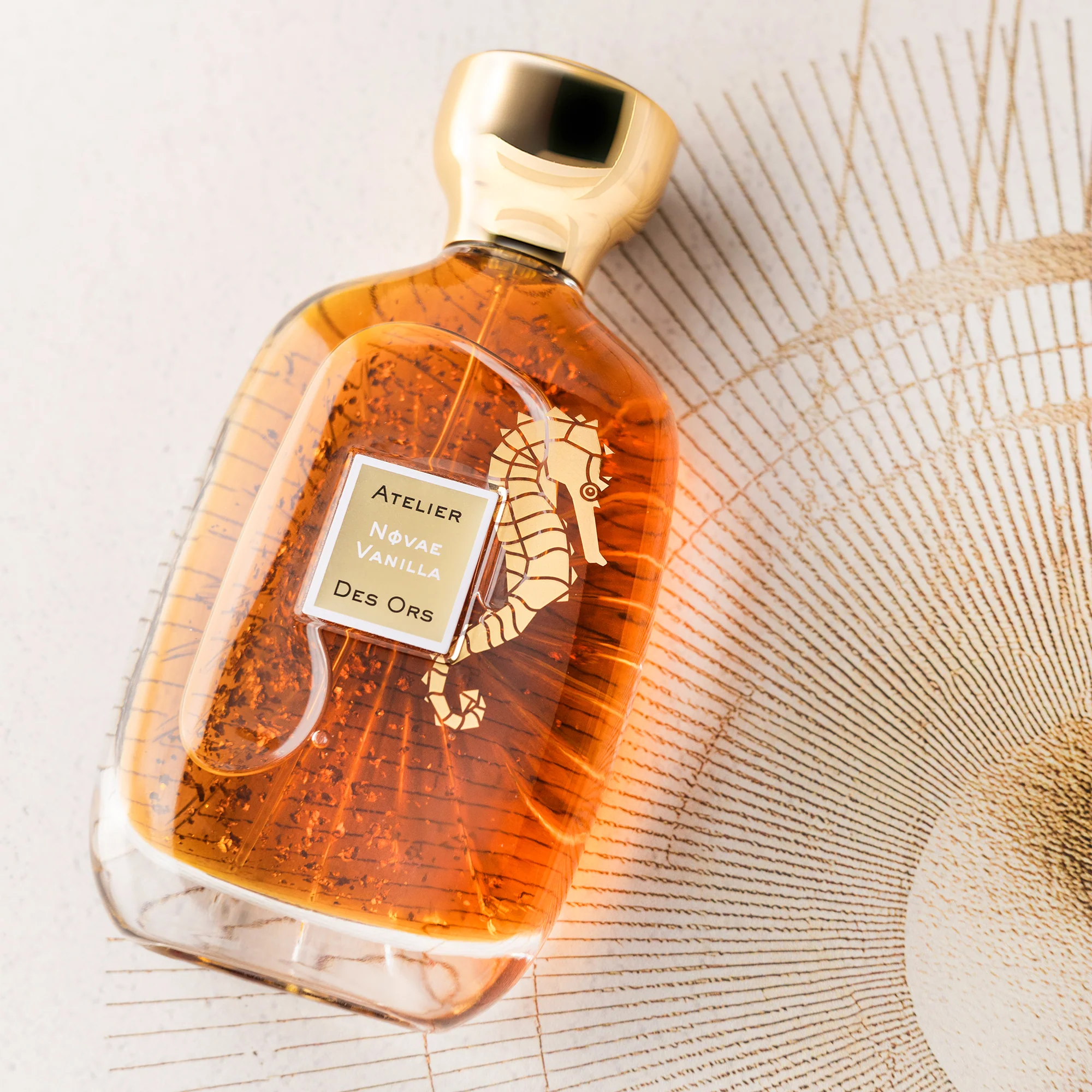 Novae Vanilla Atelier des Ors Eau de Parfum 100ml - Image 6