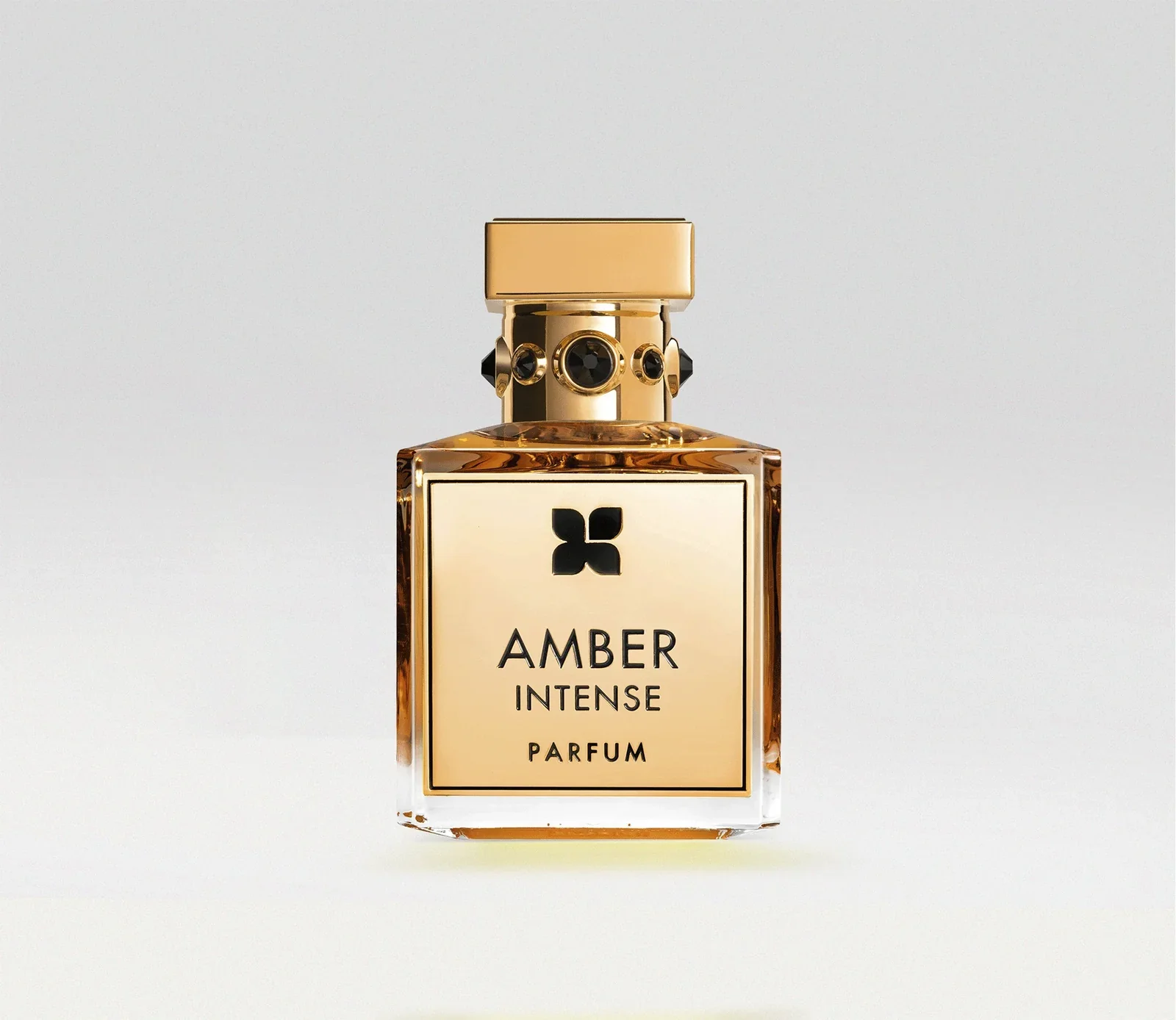 Amber Intense Fragrance du Bois Eau de Parfum 100ml