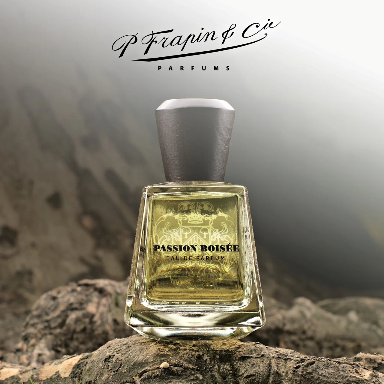 Passion Boisee Frapin & Cie Eau de Parfum 100ml - Image 4