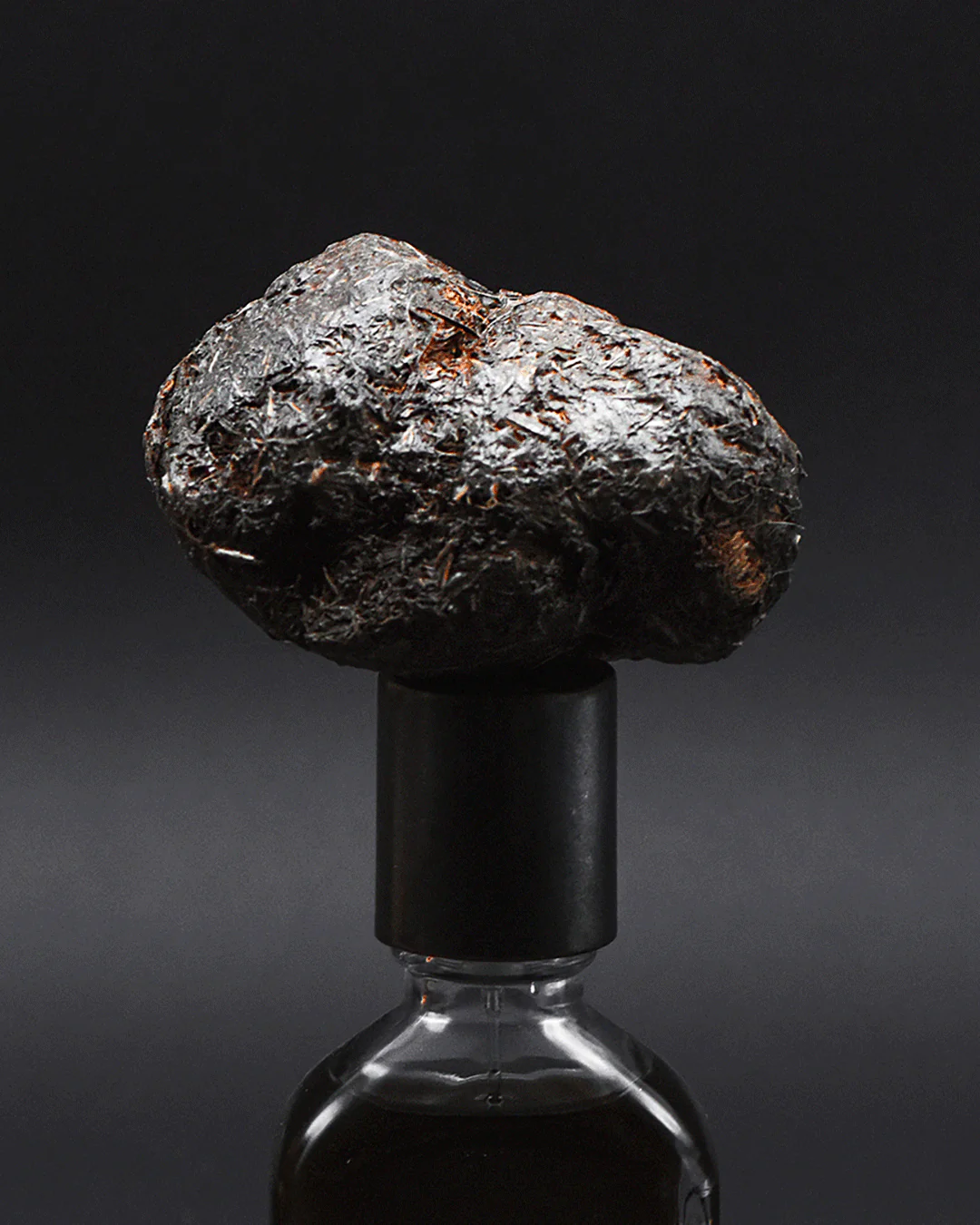 Stercus Orto Parisi Extrait de Parfum 50ml - Image 3