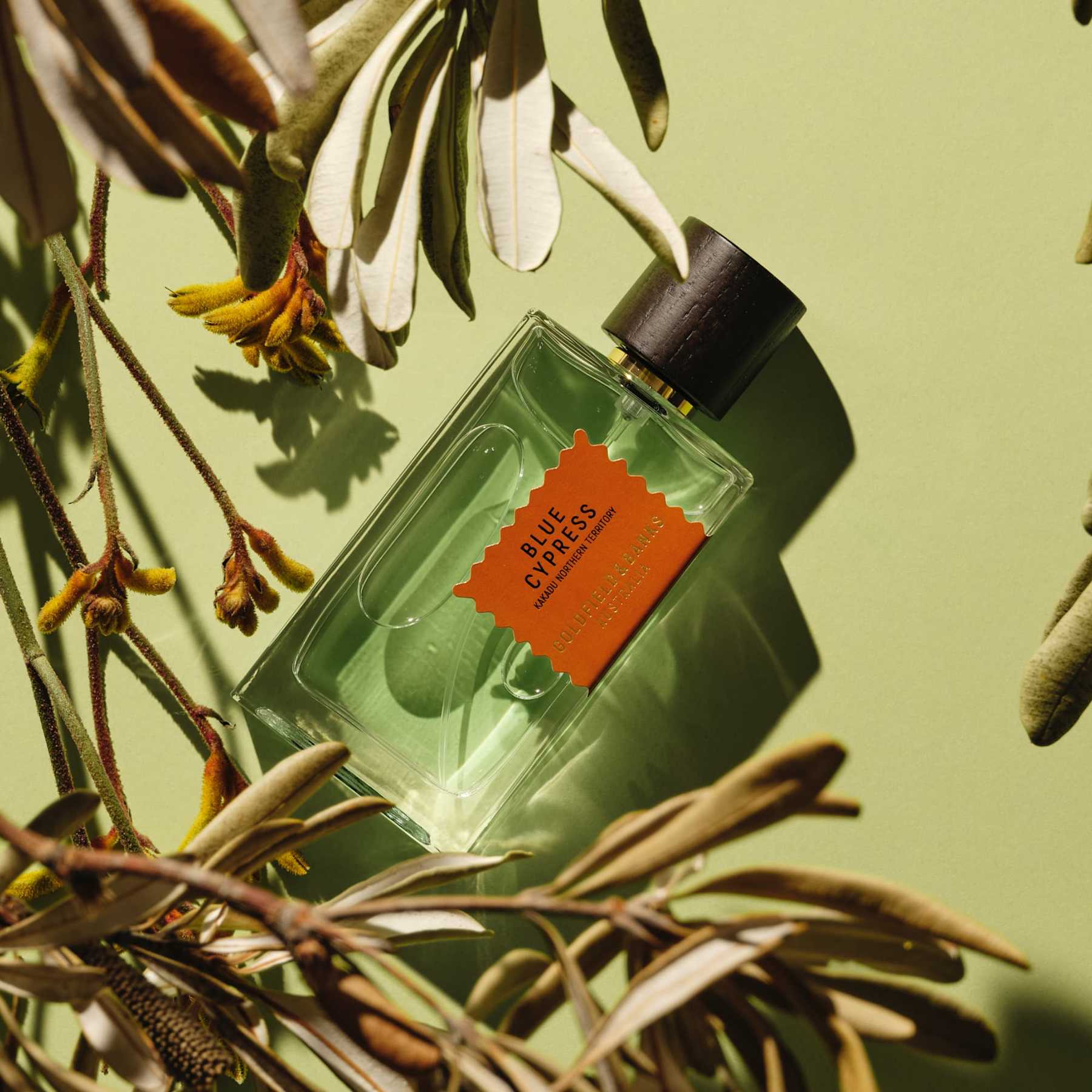 Wood Infusion Goldfield & Banks Parfum - Image 7
